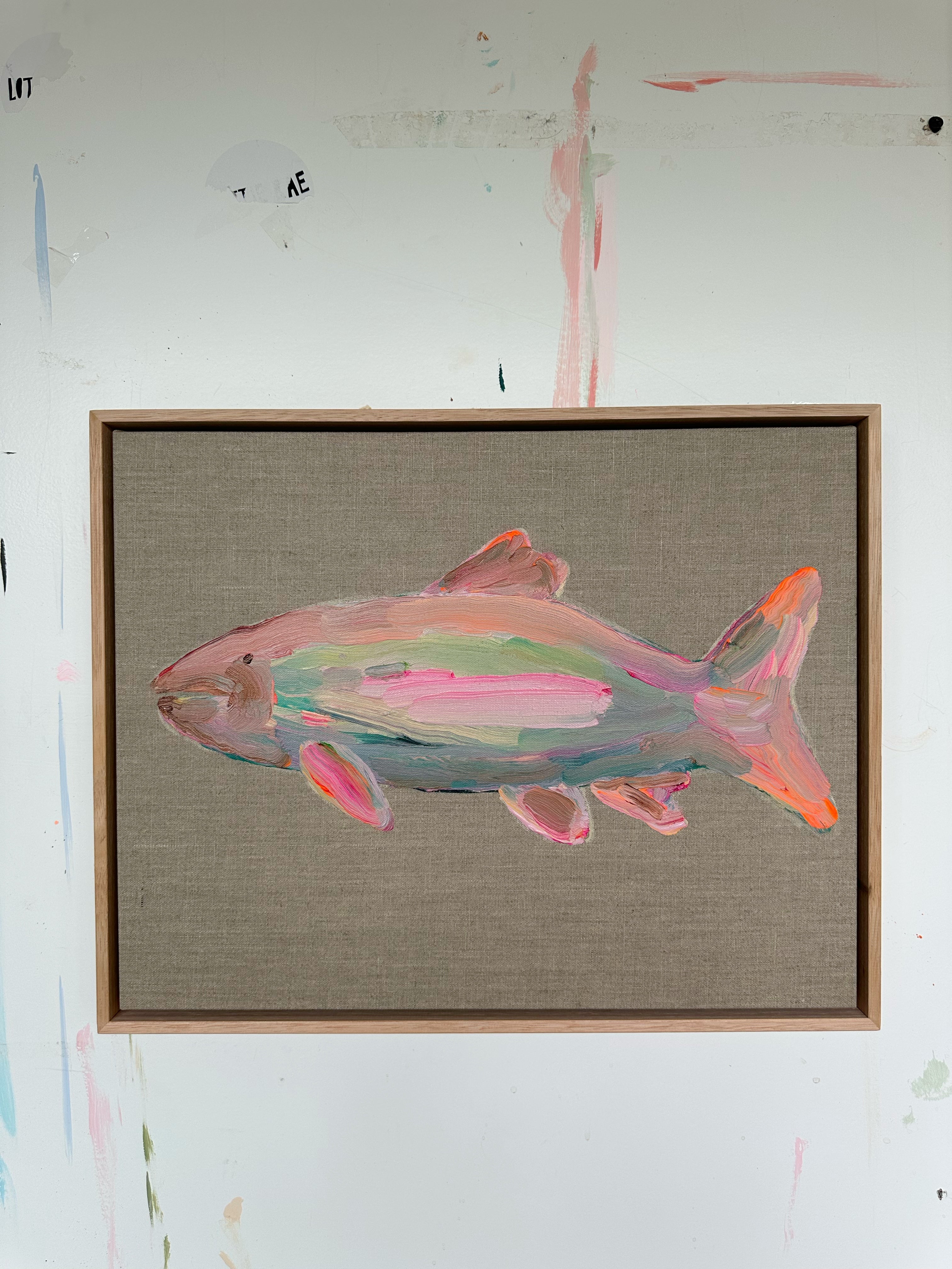 Too cool to swim with the school