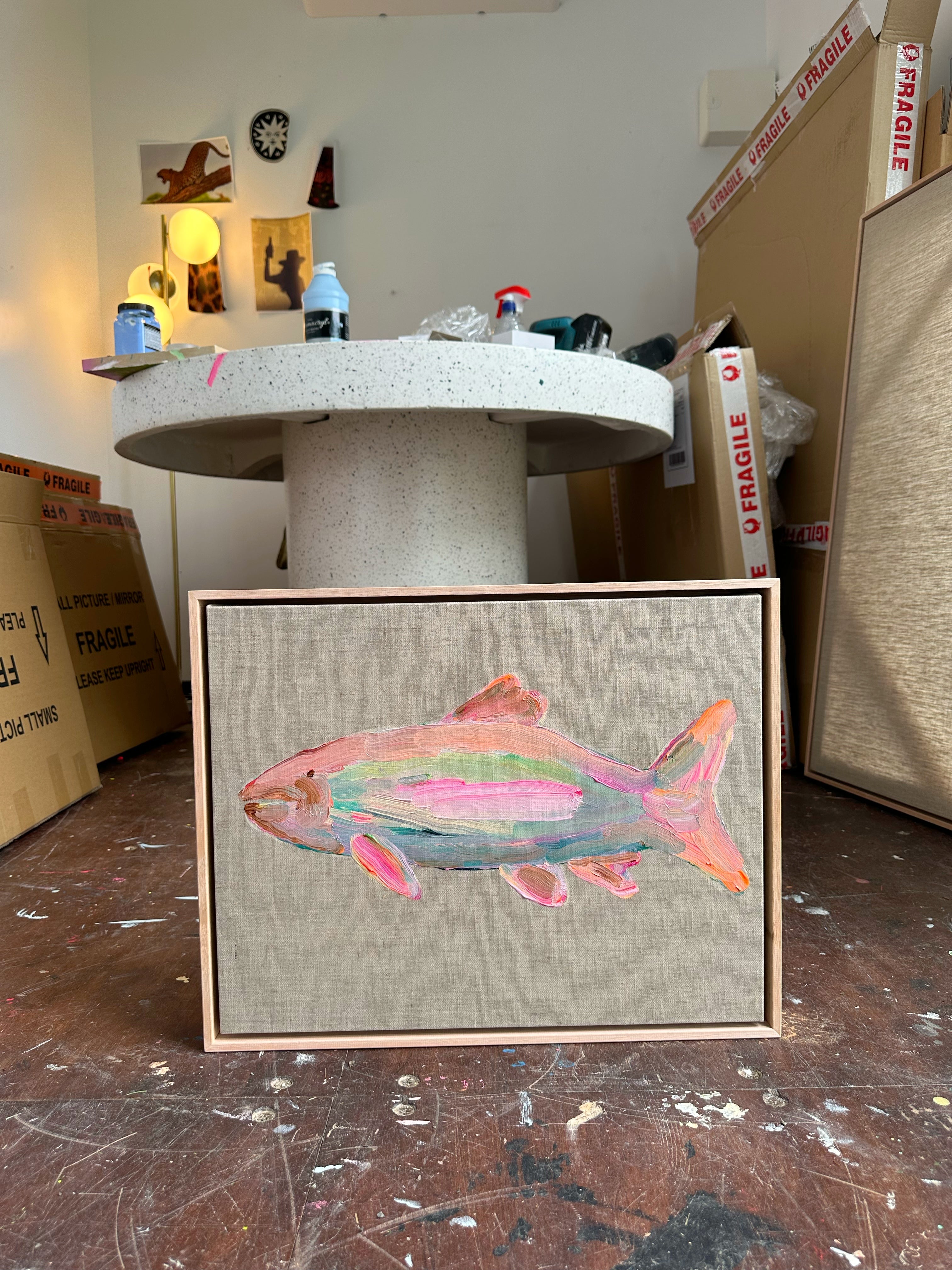 Too cool to swim with the school